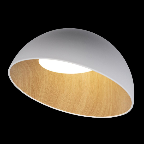 Потолочный светодиодный светильник Loft IT Egg 10197/500 White