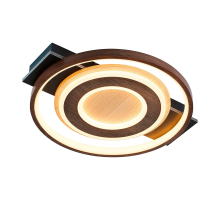 Потолочный светодиодный светильник F-Promo Labrea 4699-1C