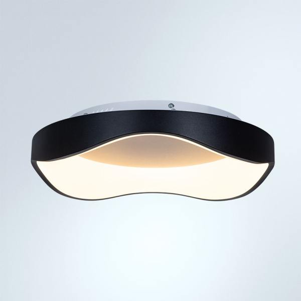 Потолочный светодиодный светильник Arte Lamp Ankaa A3085PL-48BK