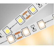 Светодиодная лента Ambrella Light 14,4W/m 60LED/m 5050SMD теплый белый 5M GS2001