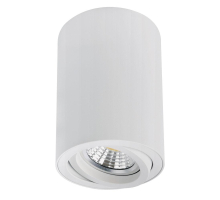 Точечный накладной светильник Arte Lamp SENTRY A1566PL-1WH