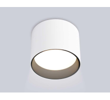 Светильник накладной Ambrella Light TN5303