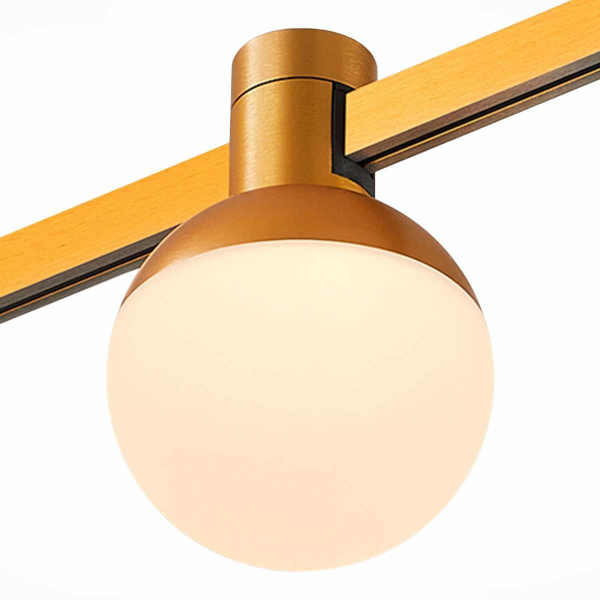 Трековый светильник ST LUCE ST815.246.05 Трековый светильник ST LUCE ST815.246.05