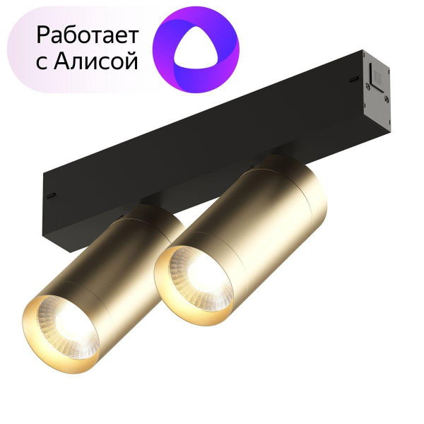 Трековый светодиодный светильник Denkirs Smart Spot DK8012-BG Трековый светодиодный светильник Denkirs Smart Spot DK8012-BG