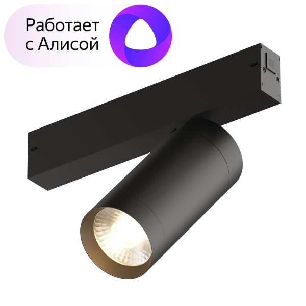 Трековый светильник Denkirs Smart DK8020-BK Трековый светильник Denkirs Smart DK8020-BK
