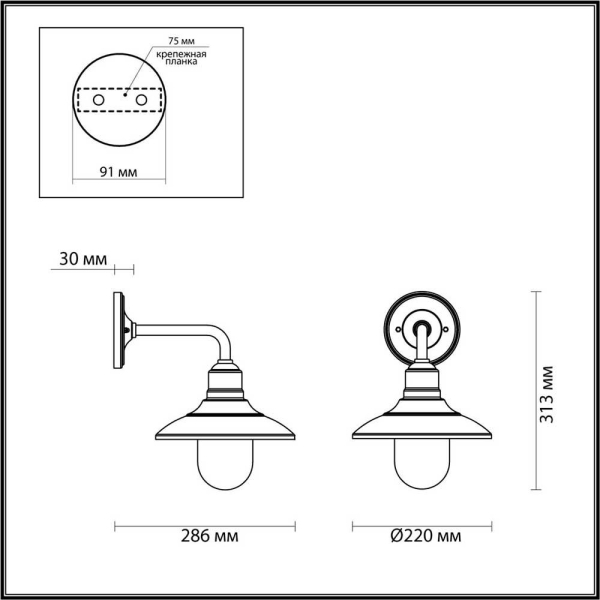 Уличный настенный светильник Odeon Light Nature Campa 4965/1W