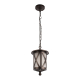 Уличный подвесной светильник Loft IT Ravenna 100016P