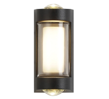 Уличный настенный светодиодный светильник Escada 30006W/01Led