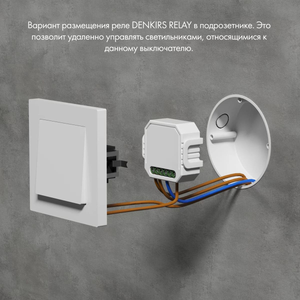 Wi-Fi реле-диммер одноканальное Denkirs 1x150Вт RL1003-DM/1