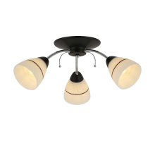 Потолочная люстра Toplight Winnifred TL1255D-03BC