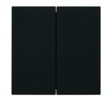 Переключатель 2-клавишный (механизм), Stekker, 250В, 10А Мия, RSW10-3107-05, черный бархат 50448