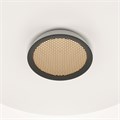 MOD041PL-L15W3K1 741741