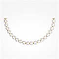 MOD555CL-L28G3K 747809