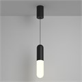 P101PL-L300-12W3K-B 751621