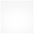 MOD299PL-L80BS3K 762370