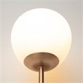 MOD221-WL-01-G 428358