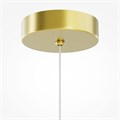 MOD520PL-01BS 818043