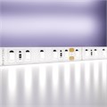 10150 664152