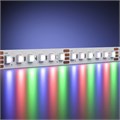 201131 766541