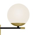 MOD050WL-02G 557468