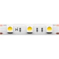 201183 783696