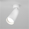 C017CW-01W 513386