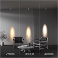 C055CL-L12W3K-SS-W 802385