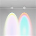 C217CL-15W4K-W 781327