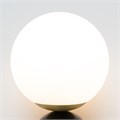 MOD048WL-01G 665025