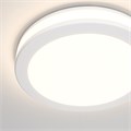 DL2001-L12W 507794