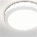 DL2001-L12W4K 557449