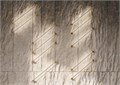 MOD413WL-L8G3K 681385