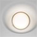 DL001-WW-01-W 743933