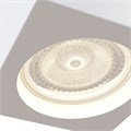 C005CW-01W 506942
