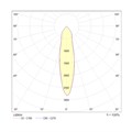C019CW-01W 513389