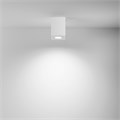 C017CL-01W 513414