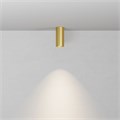 C010CL-01MG-N 817853
