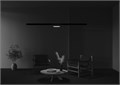 TR036-2-12W4K-B 699072