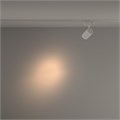 TR029-3-10W3K-S-W 705946