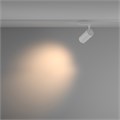 TR003-1-36W3K-M-W 705952