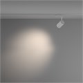 TR003-1-10W4K-M-W 705977