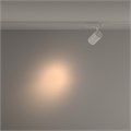 TR029-3-20W3K-S-W 706028