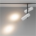TR005-2-2X12W3K-BW 746166