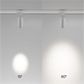 TR198-3-20W4K-Z-W 761108