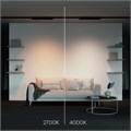 TR196-3-20W4K-B 761094
