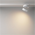 TR007-1-18W3K-W-1 761895