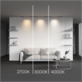 TR190-1-10W4K-B 763149