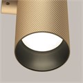 C080WL-02-GU10-MG 742859