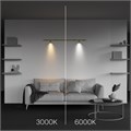 C103CL-5W3-6K-BS 787827