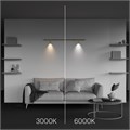 C102CL-3W3-6K-BS 787825